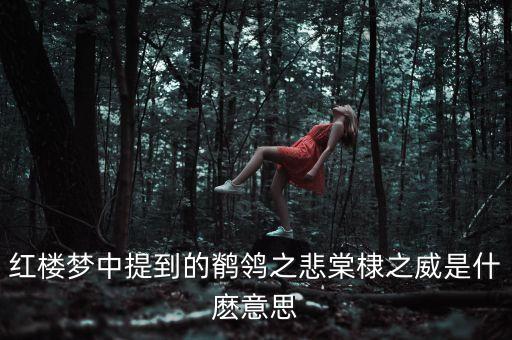 紅樓夢(mèng)中提到的鹡鸰之悲棠棣之威是什麼意思