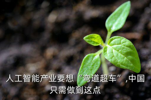 人工智能產(chǎn)業(yè)要想“彎道超車”,中國(guó)只需做到這點(diǎn)