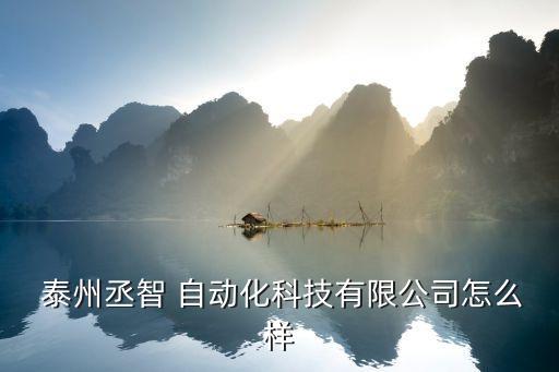  泰州丞智 自動(dòng)化科技有限公司怎么樣