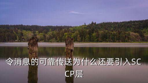 SCCP，代理商SA CP什么意思
