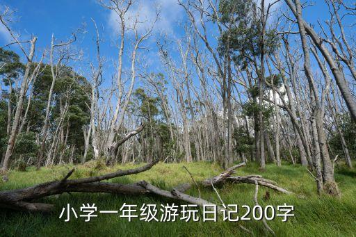 小學一年級游玩日記200字