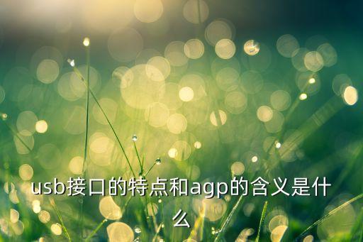 usb接口的特點(diǎn)和agp的含義是什么