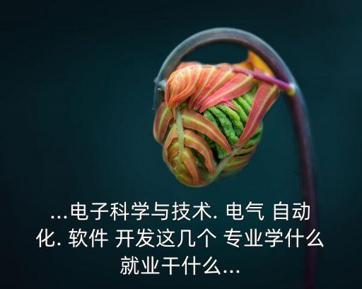 ...電子科學(xué)與技術(shù). 電氣 自動(dòng)化. 軟件 開(kāi)發(fā)這幾個(gè) 專業(yè)學(xué)什么就業(yè)干什么...