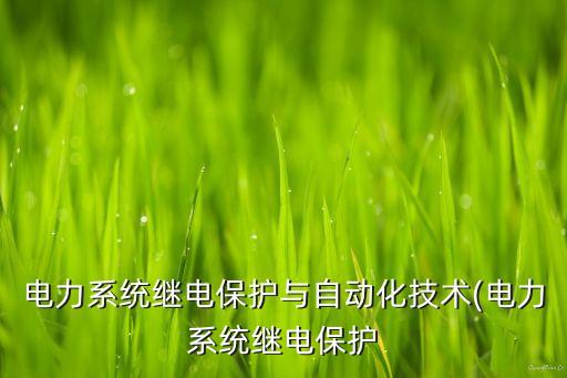 電力系統(tǒng)繼電保護(hù)與自動(dòng)化技術(shù)(電力系統(tǒng)繼電保護(hù)