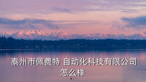  泰州市佩費(fèi)特 自動(dòng)化科技有限公司怎么樣