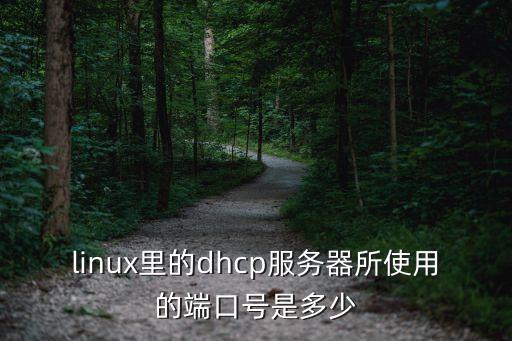 dhcp端口號，DHCP傳輸層的端口號是多少
