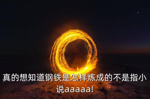 真的想知道鋼鐵是怎樣煉成的不是指小說aaaaa!