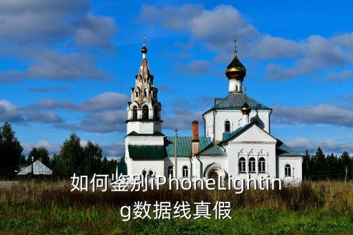 怎樣辨別蘋果數(shù)據(jù)線的真假,蘋果數(shù)據(jù)線怎么辨別?