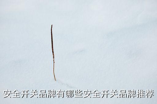 安全開關(guān)品牌有哪些安全開關(guān)品牌推薦