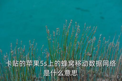 蜂窩網(wǎng)絡是什么意思，蘋果的那個蜂窩網(wǎng)是什么意思