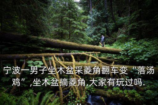 木盆生產(chǎn)自動化專業(yè),泡腳用木盆好還是泡腳浴盆好?