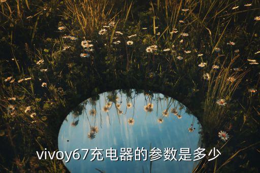 vivoy67充電器的參數(shù)是多少