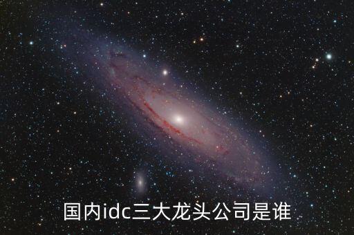 國內(nèi)idc三大龍頭公司是誰