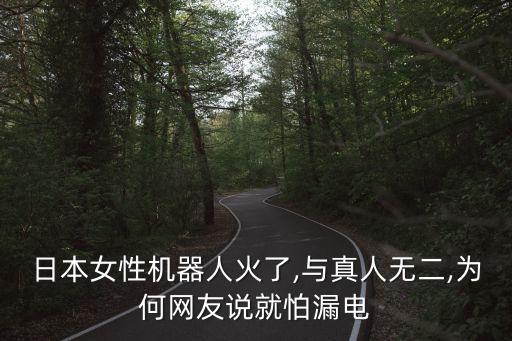 是否真的有性愛機(jī)器人,日本女性機(jī)器人都有哪些功能?