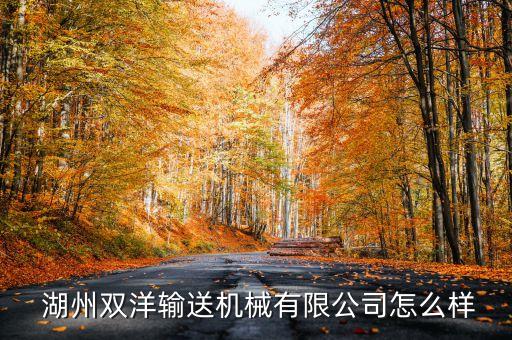  湖州雙洋輸送機械有限公司怎么樣