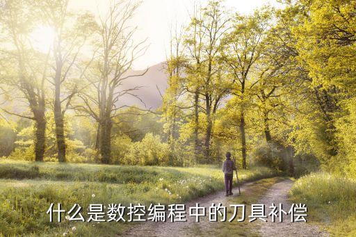 刀具補(bǔ)償，5 什么是刀具半徑補(bǔ)償在切削加工中刀補(bǔ)有哪幾種作用G41G42