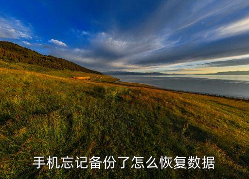手機(jī)忘記備份了怎么恢復(fù)數(shù)據(jù)