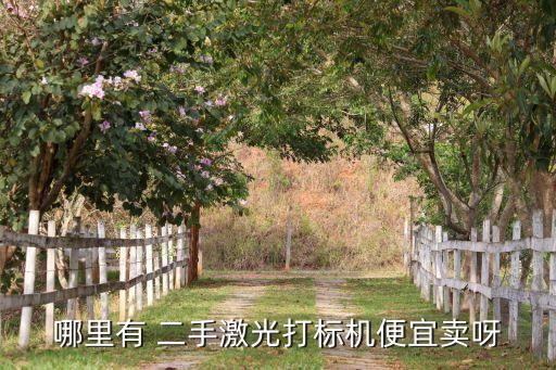 哪里有 二手激光打標機便宜賣呀