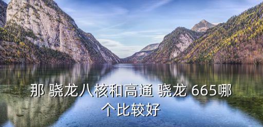 那 驍龍八核和高通 驍龍 665哪個比較好