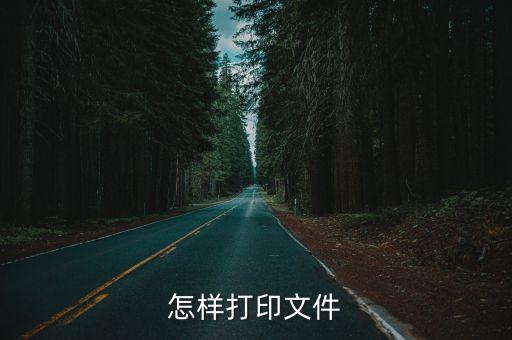怎樣打印文件