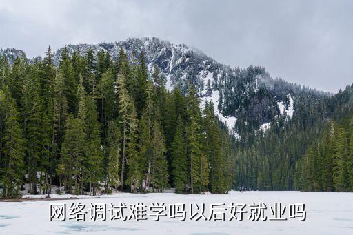 網(wǎng)絡調試難學嗎以后好就業(yè)嗎