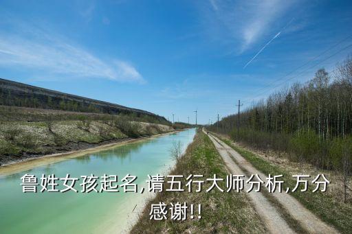 魯姓女孩起名,請五行大師分析,萬分感謝!!