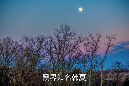 黑界知名韓夏