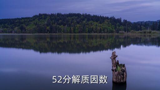 52分解質(zhì)因數(shù)