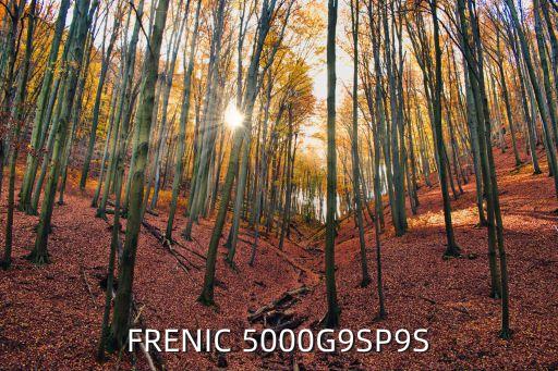 FRENIC 5000G9SP9S