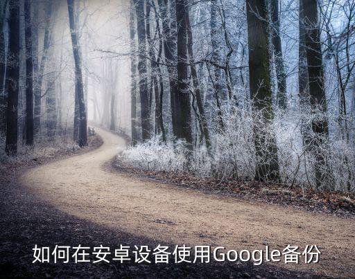 谷歌會(huì)備份應(yīng)用數(shù)據(jù)嗎,谷歌怎么備份數(shù)據(jù)?一文看懂