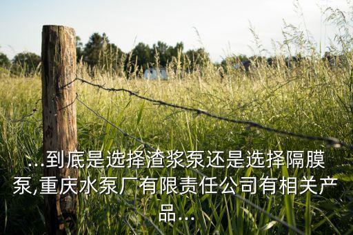 ...到底是選擇渣漿泵還是選擇隔膜泵,重慶水泵廠有限責(zé)任公司有相關(guān)產(chǎn)品...