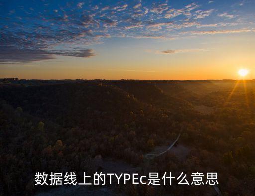 數(shù)據(jù)線上的TYPEc是什么意思