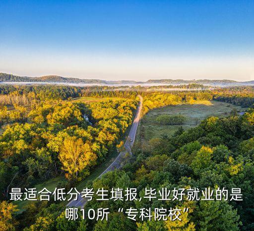 最適合低分考生填報,畢業(yè)好就業(yè)的是哪10所“?？圃盒！? class=