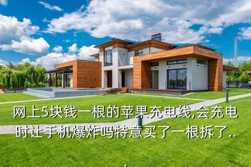 網(wǎng)上5塊錢一根的蘋果充電線,會(huì)充電時(shí)讓手機(jī)爆炸嗎特意買了一根拆了...