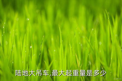 陸地大吊車,最大起重量是多少
