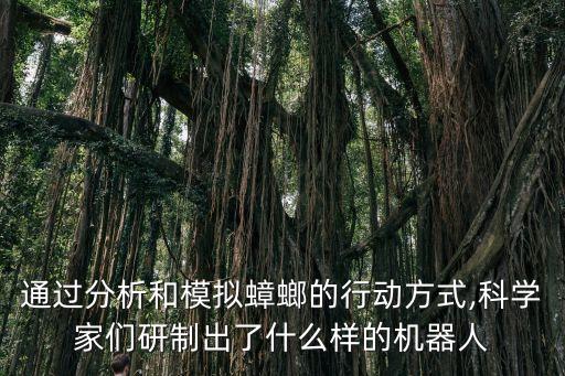 通過分析和模擬蟑螂的行動方式,科學(xué)家們研制出了什么樣的機器人