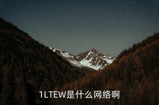 1LTEW是什么網絡啊