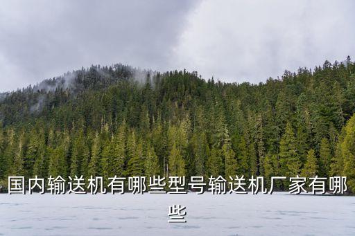 國(guó)內(nèi)輸送機(jī)有哪些型號(hào)輸送機(jī)廠家有哪些