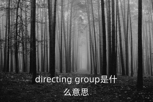 directing group是什么意思
