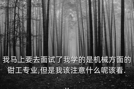 我馬上要去面試了我學(xué)的是機(jī)械方面的鉗工專(zhuān)業(yè),但是我該注意什么呢該看...