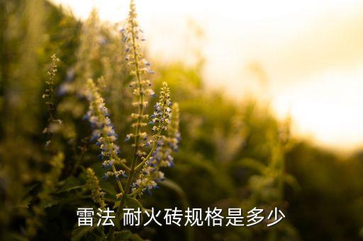 耐火磚自動化設備,自動化耐火磚生產線