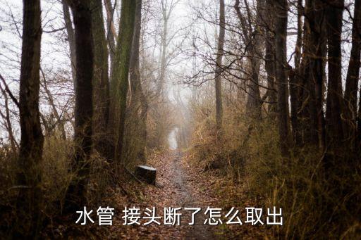 水管 接頭斷了怎么取出