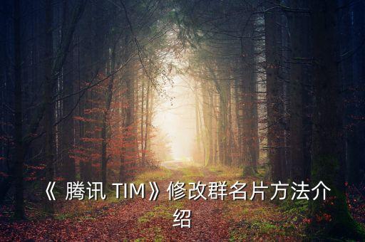 《 騰訊 TIM》修改群名片方法介紹