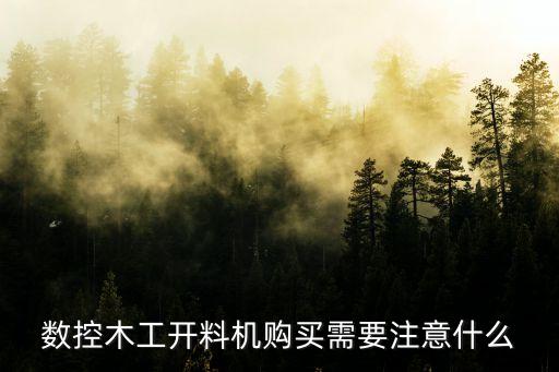 數(shù)控木工開(kāi)料機(jī)購(gòu)買(mǎi)需要注意什么