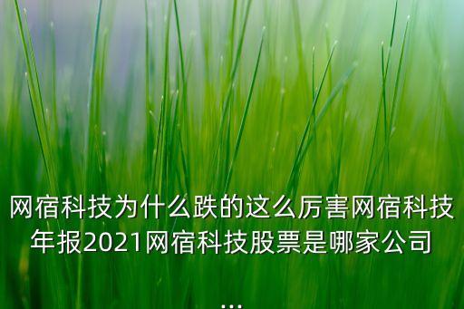 網(wǎng)宿科技 互聯(lián)網(wǎng) 大數(shù)據(jù),網(wǎng)宿科技怎么進(jìn)去?一文看懂!!