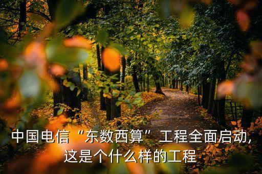 中國(guó)電信“東數(shù)西算”工程全面啟動(dòng),這是個(gè)什么樣的工程