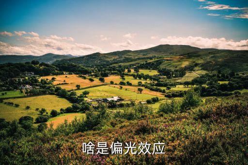 光的偏振原理，啥是偏光效應(yīng)