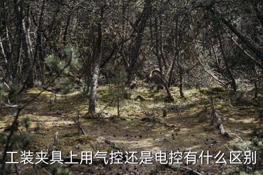 自動(dòng)化氣動(dòng)夾具設(shè)備,哪些自動(dòng)化設(shè)備比較常用?