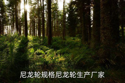 聚氨酯腳輪自動(dòng)化設(shè)備廠家,國(guó)內(nèi)生產(chǎn)聚氨酯腳輪品牌有哪些?