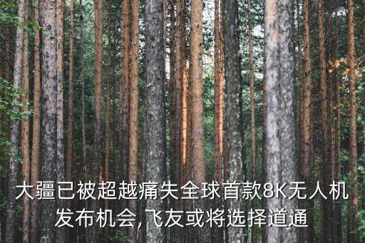 大疆已被超越痛失全球首款8K無人機(jī)發(fā)布機(jī)會,飛友或?qū)⑦x擇道通